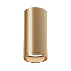 Потолочный светильник Maytoni Focus C010CL-01MG