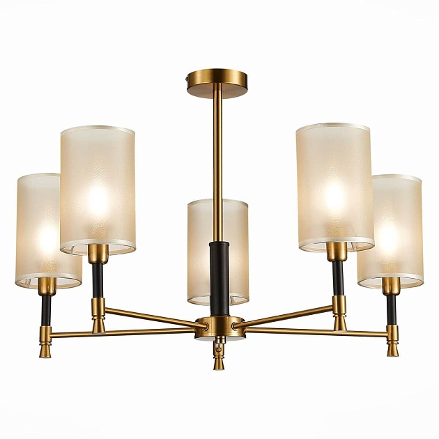 Потолочная люстра Evoluce Granze SLE300302-05 Фото № 1