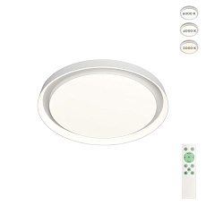 Потолочный светодиодный светильник Denkirs Cany DK6516-WH