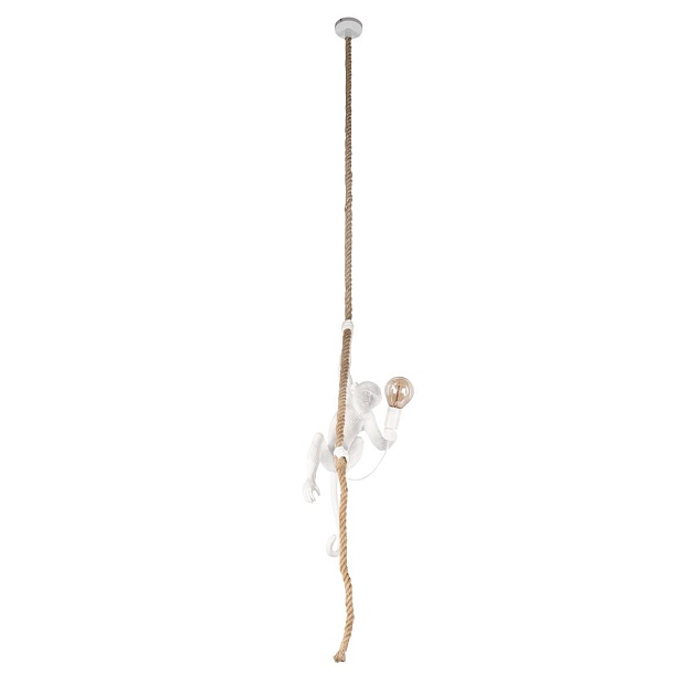 Подвесной светильник Loft IT Monkey 10314P Фото № 3