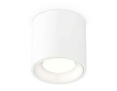 Комплект накладного светильника Ambrella light Techno Spot XS7531010 (C7531, N7020)