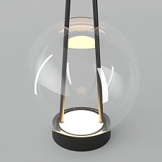 Настольная лампа Eurosvet Frasco 80507/1 черный 3