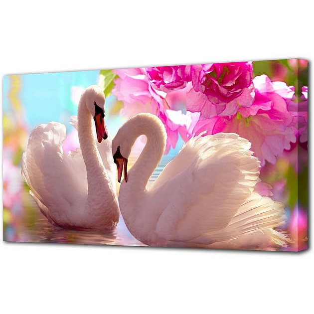 Холст Toplight 50х100х3см TL-H1200 изображение 1 Холст Toplight 50х100х3см TL-H1200 Фото № 1