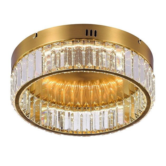 Потолочный светодиодный светильник MyFar Irina MR2010-1CL Фото № 1