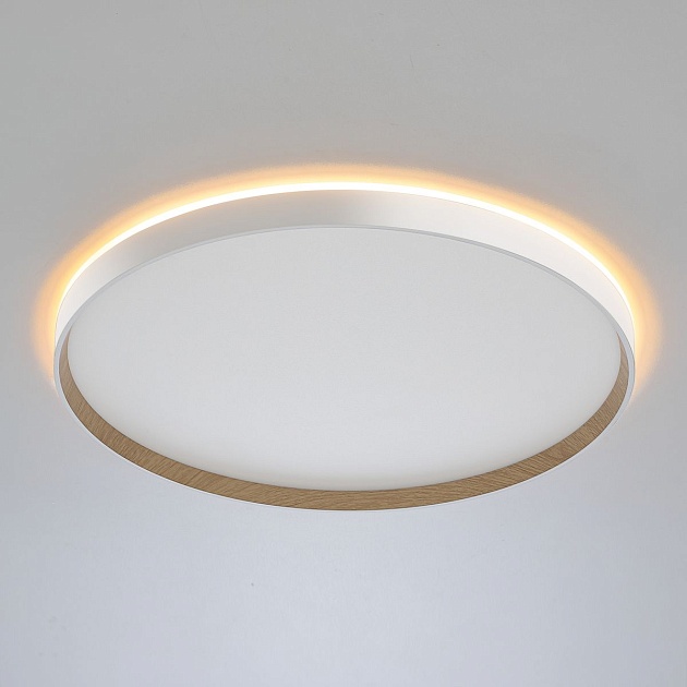 Потолочный светодиодный светильник Citilux Etalon CL750500R Фото № 17