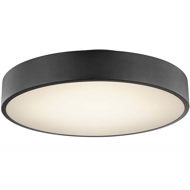 Потолочный светодиодный светильник Globo Wiss 41744-24S Фото № 1