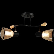 Спот Reluce 04760-0.8-02 3