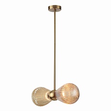 Подвесная люстра Odeon Light Exclusive Elica 5402/2 3