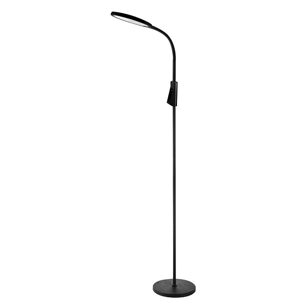 Торшер Camelion KD-836F C02 13407 Фото № 1