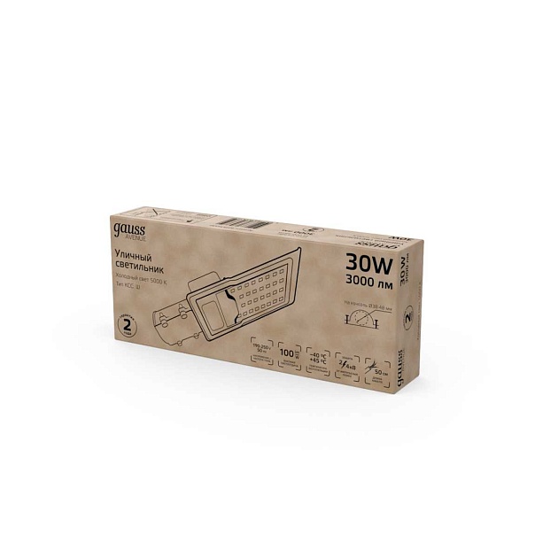 Уличный светодиодный консольный светильник Gauss Avenue 629534330 Фото № 5