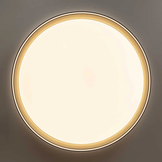 Потолочный светодиодный светильник Citilux Boss CL751451G изображение 14 Потолочный светодиодный светильник Citilux Boss CL751451G Фото № 14