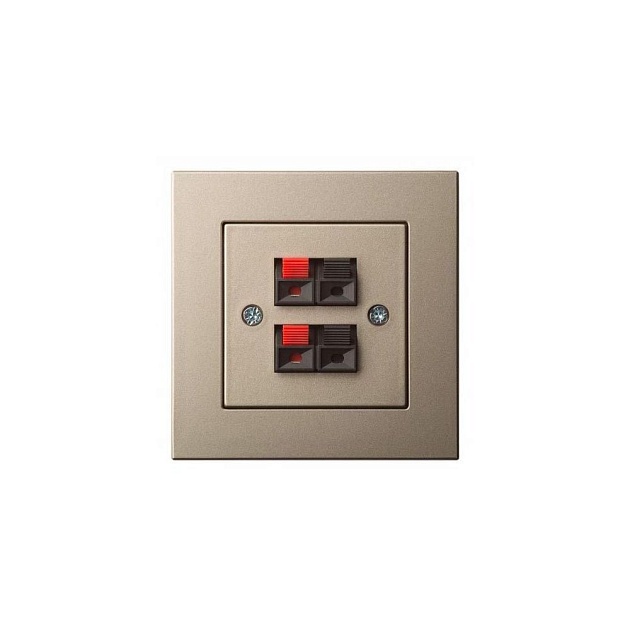 Аудиорозетка двойная Liregus Epsilon шампань 28-3241 Фото № 1