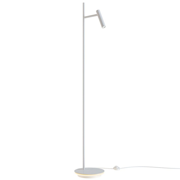 Торшер Maytoni Estudo Z010FL-L8W3K Фото № 11