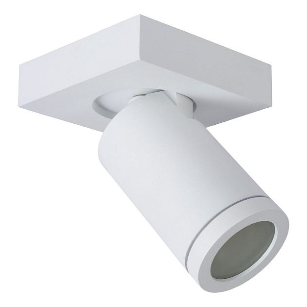 Спот Lucide Taylor 09930/05/31 изображение 1 Спот Lucide Taylor 09930/05/31 Фото № 1