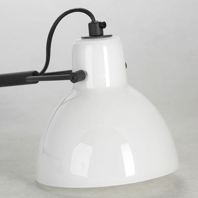 Спот Lussole Loft LSP-8539 Фото № 5