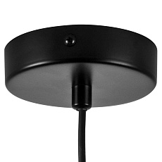 Люстра Fenicia Lightstar 799557 2
