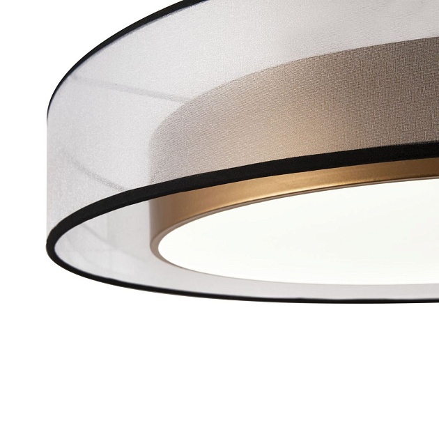 Потолочный светодиодный светильник Freya Zoticus FR6005CL-L48G Фото № 3