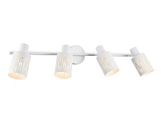 Настенно-потолочный спот Ambrella light TRADITIONAL TR8666