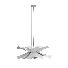 Подвесная люстра Lightera Chad LE116L-40W 4