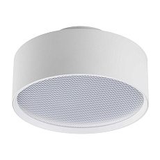 Светильник накладной Lightstar Acuto 215946