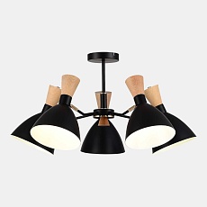 Потолочная люстра Evoluce Vista SLE1256-402-05