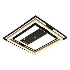 Потолочный светодиодный светильник Escada Lagom 10249/2LED 2