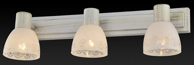 Спот Toplight Shona TL3740Y-03WG изображение 2 Спот Toplight Shona TL3740Y-03WG Фото № 2