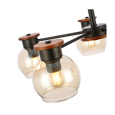 Потолочная люстра Evoluce Rasco SLE108102-05 1