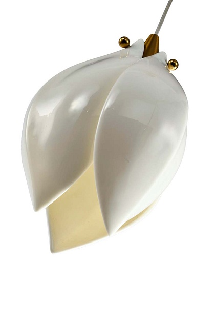 Подвесной светильник Zortes DALIN ZRS.90609.01 Фото № 4