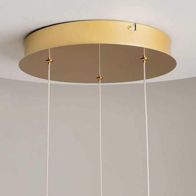 Подвесная светодиодная люстра Maytoni Foresight MOD347PL-L24BS3K Фото № 4