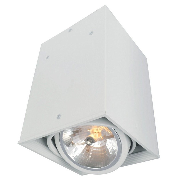 Потолочный светильник Arte Lamp Cardani A5936PL-1WH Фото № 1