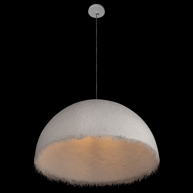 Подвесной светильник Loft IT Plancton 10372/800 Фото № 4