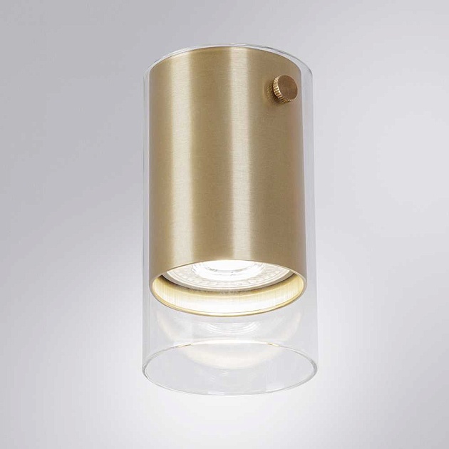 Точечный накладной светильник Arte Lamp LAZIO A5365PL-1SG Фото № 1