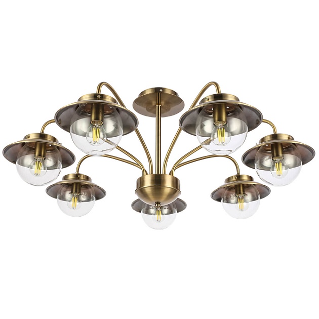 Потолочная люстра Evoluce Garonni SLE110102-07 Фото № 1