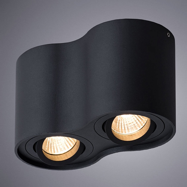 Потолочный светильник Arte Lamp Falcon A5645PL-2BK Фото № 2