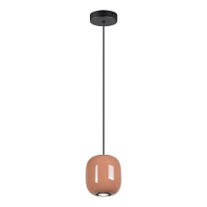 Подвесной светильник Odeon Light OVALI 5053/1G 2