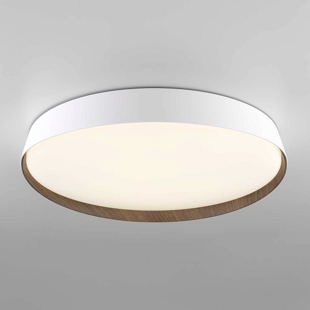 Потолочный светодиодный светильник Citilux Bonny CL754450G изображение 12 Потолочный светодиодный светильник Citilux Bonny CL754450G Фото № 12