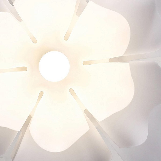 Подвесная люстра Lightera Chad LE116L-40W Фото № 12
