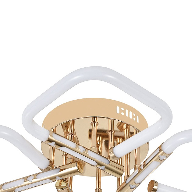 Потолочный светодиодный светильник Escada Lacerta 10265/5LED Фото № 3