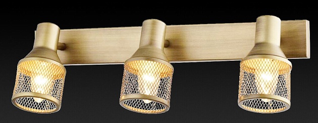 Спот Toplight Silvia TL3750Y-03AB изображение 3 Спот Toplight Silvia TL3750Y-03AB Фото № 3