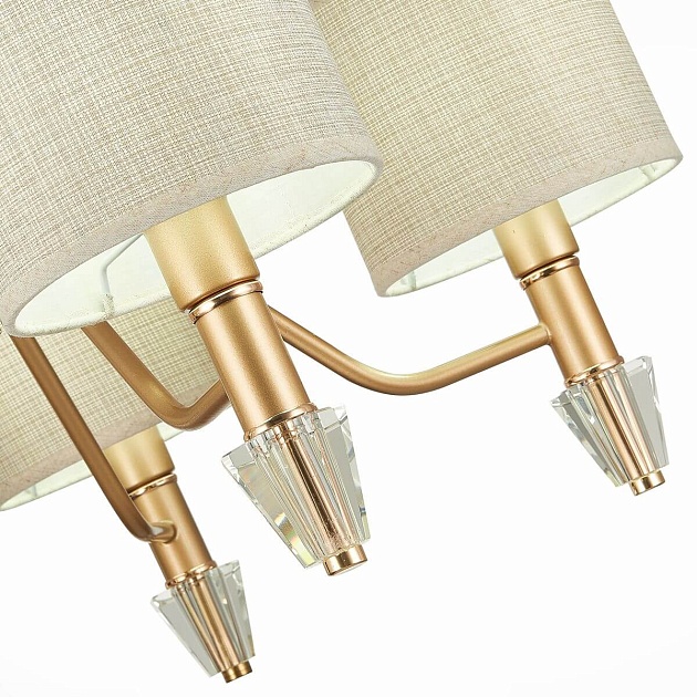 Подвесная люстра Evoluce Vilede SLE107003-05 Фото № 3