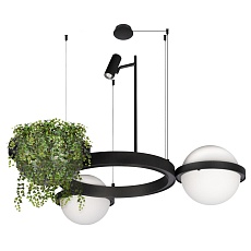 Подвесной светодиодный светильник Loft IT Jardin 10121/2 5