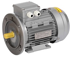 Электродвигатель асинхронный трехфазный АИР 63A6 380В 0,18кВт 1000об/мин 2081 DRIVE IEK DRV063-A6-000-2-1020