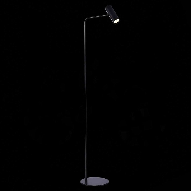 Торшер ST Luce Arper SL1006.405.01 изображение 3 Торшер ST Luce Arper SL1006.405.01 Фото № 3