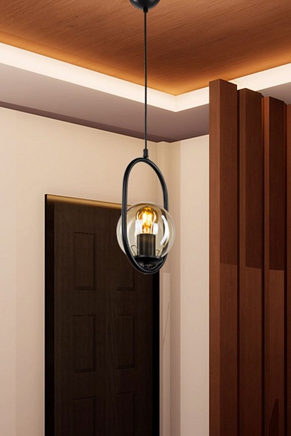 Подвесной светильник Toplight Kerrie TL1609H-01BK Фото № 3