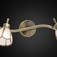 Спот Citilux Альтен CL522521 1