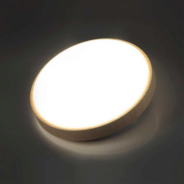 Настенно-потолочный светодиодный светильник Sonex Losta 7607/CL Фото № 4